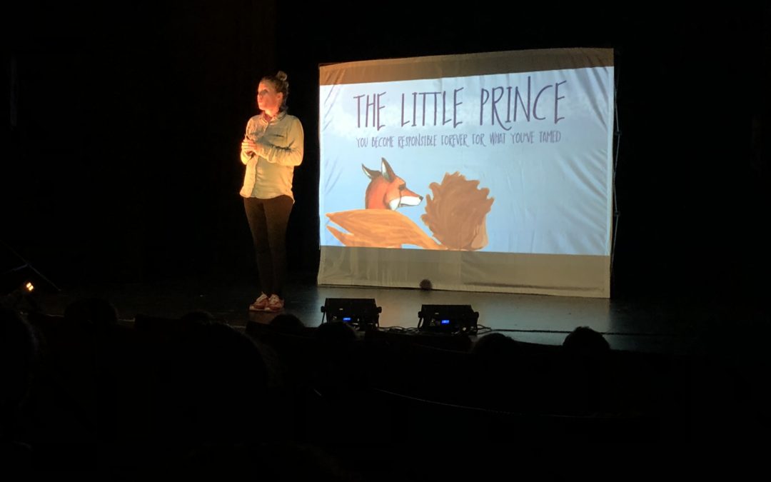 Theatre Play: The Little Prince