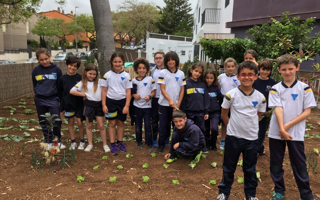 Visita al huerto escolar