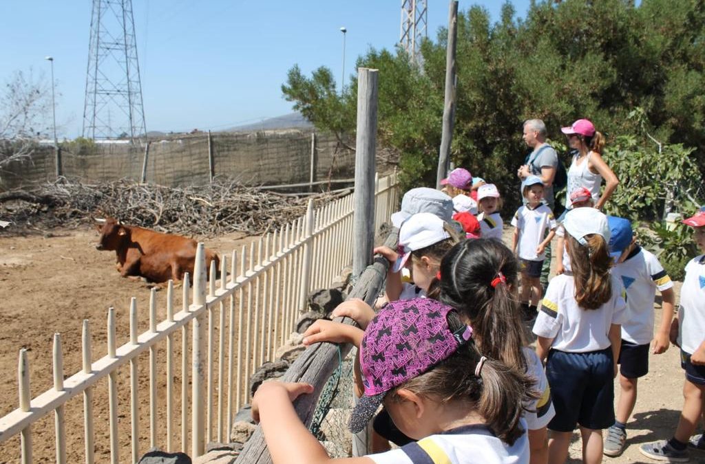 Visita: El Carretón (Infantil)