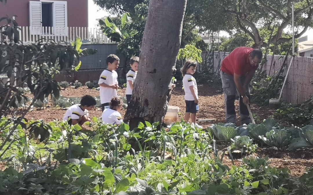 Visita al huerto escolar