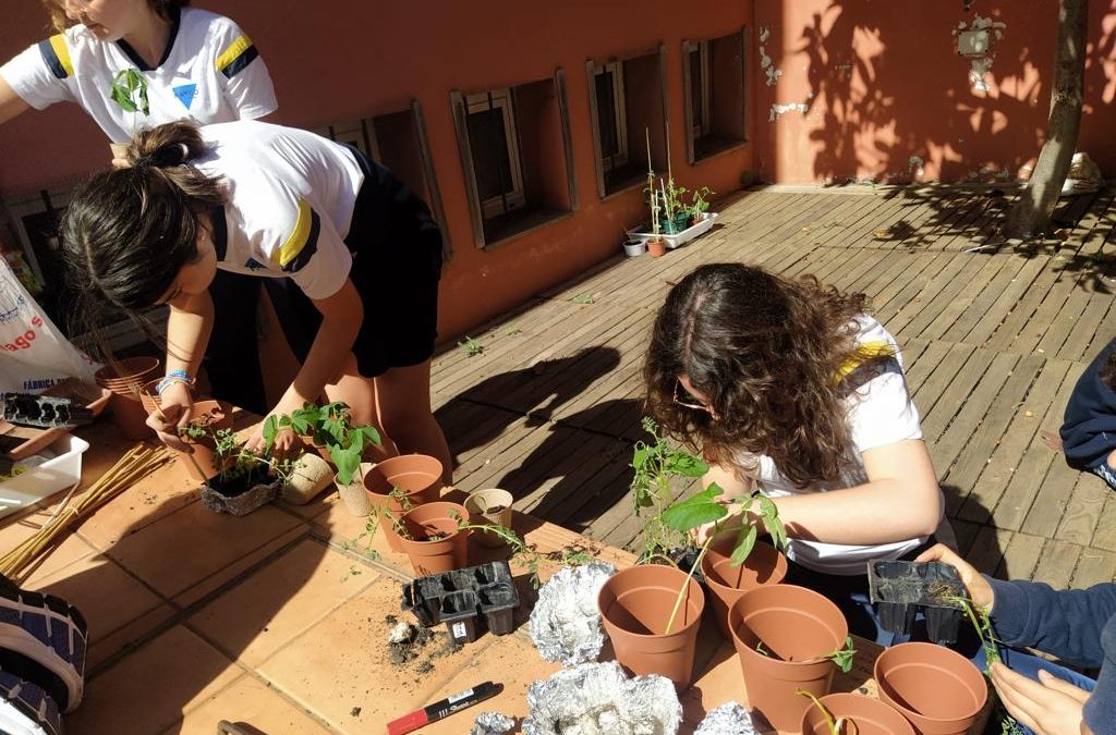 Seed germination and plant nutrition – 2nd ESO
